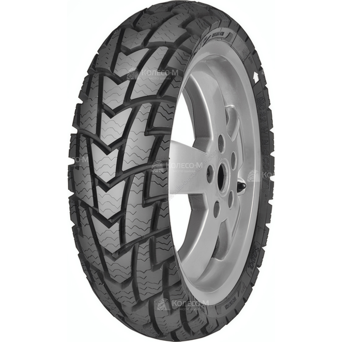 SAVA MC 32 WINTER
